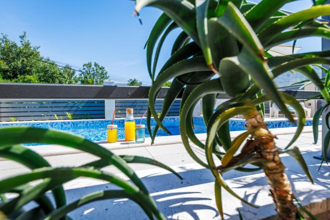 Villa "Amber" Luxury Apartments With A Pool Mlini Exterior photo